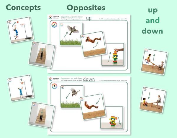 Exploring concepts Opposites Up and Down