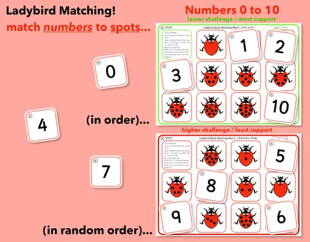 Ladybirds - Matching 0 to 10! Counting Spots Matching Numerals additional preview 2