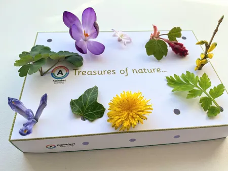 Nature Activity - collect natural treasures additional preview 3