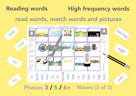 Reading High Frequency words - Nouns (x4 Sets) additional preview 3