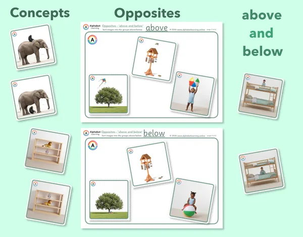 Exploring concepts Opposites Above and Below