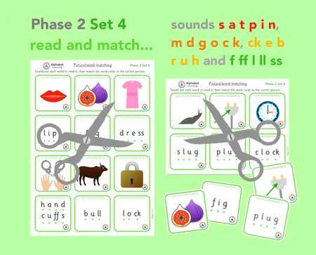 Phase 2 picture word/picture cards to read/match additional preview 4