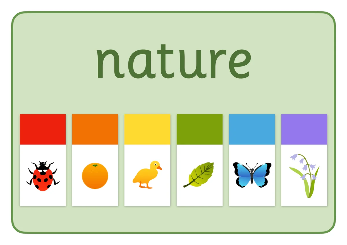 Six rainbow image cards, each featuring an item from nature.