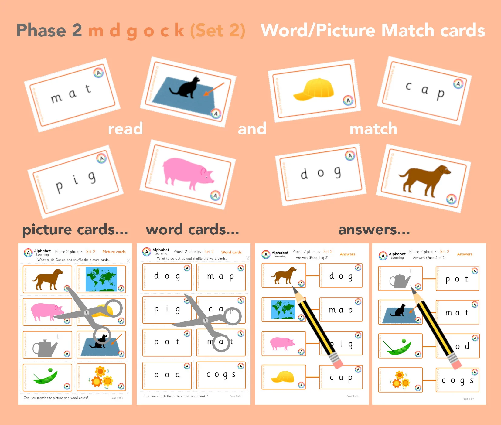 m d g o c k Phonics Picture/word match cards