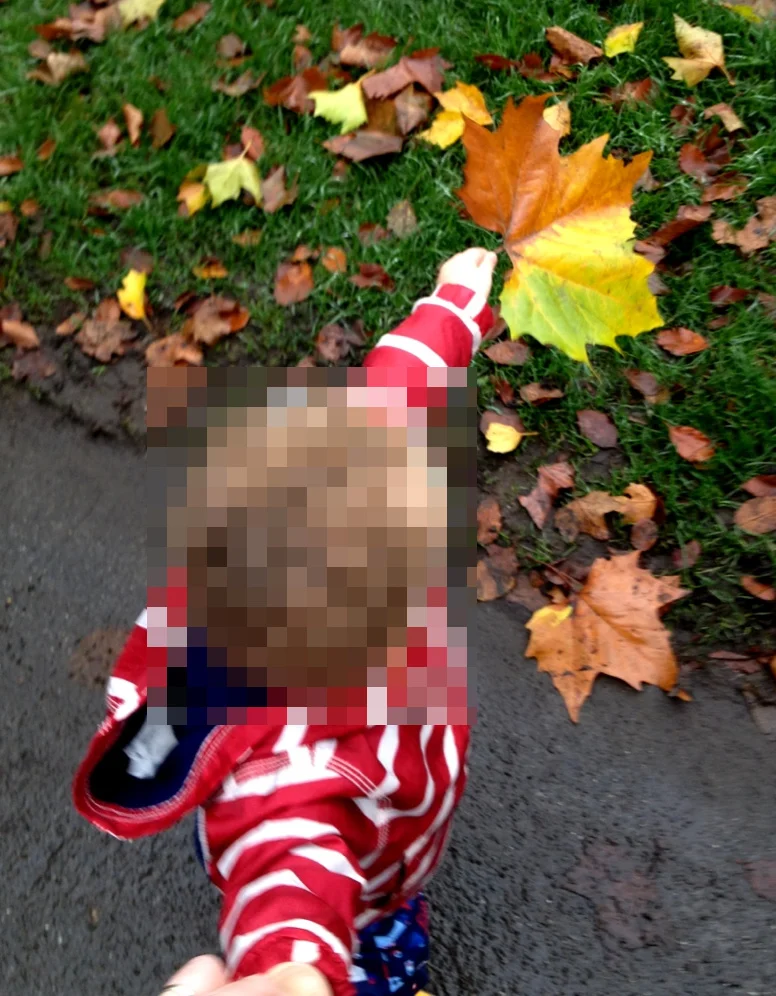 High-angle view of a toddler in a red-and-white striped jacket holding up a large autumn leaf while holding an adult's hand.