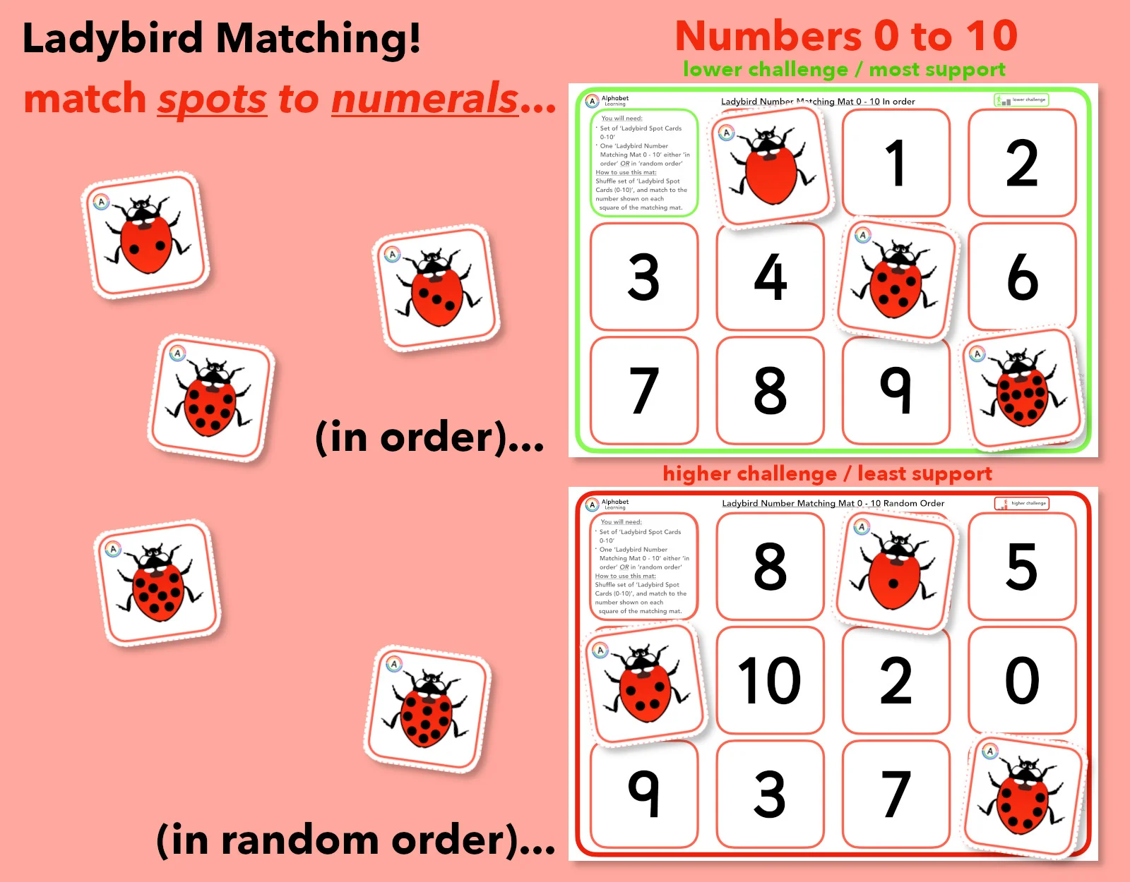 Ladybirds! Counting Spots and matching Numerals 0-10