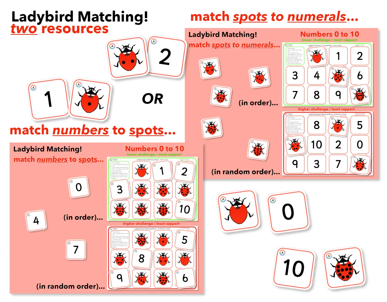 Ladybirds - Matching 0 to 10! Counting Spots Matching Numerals main preview