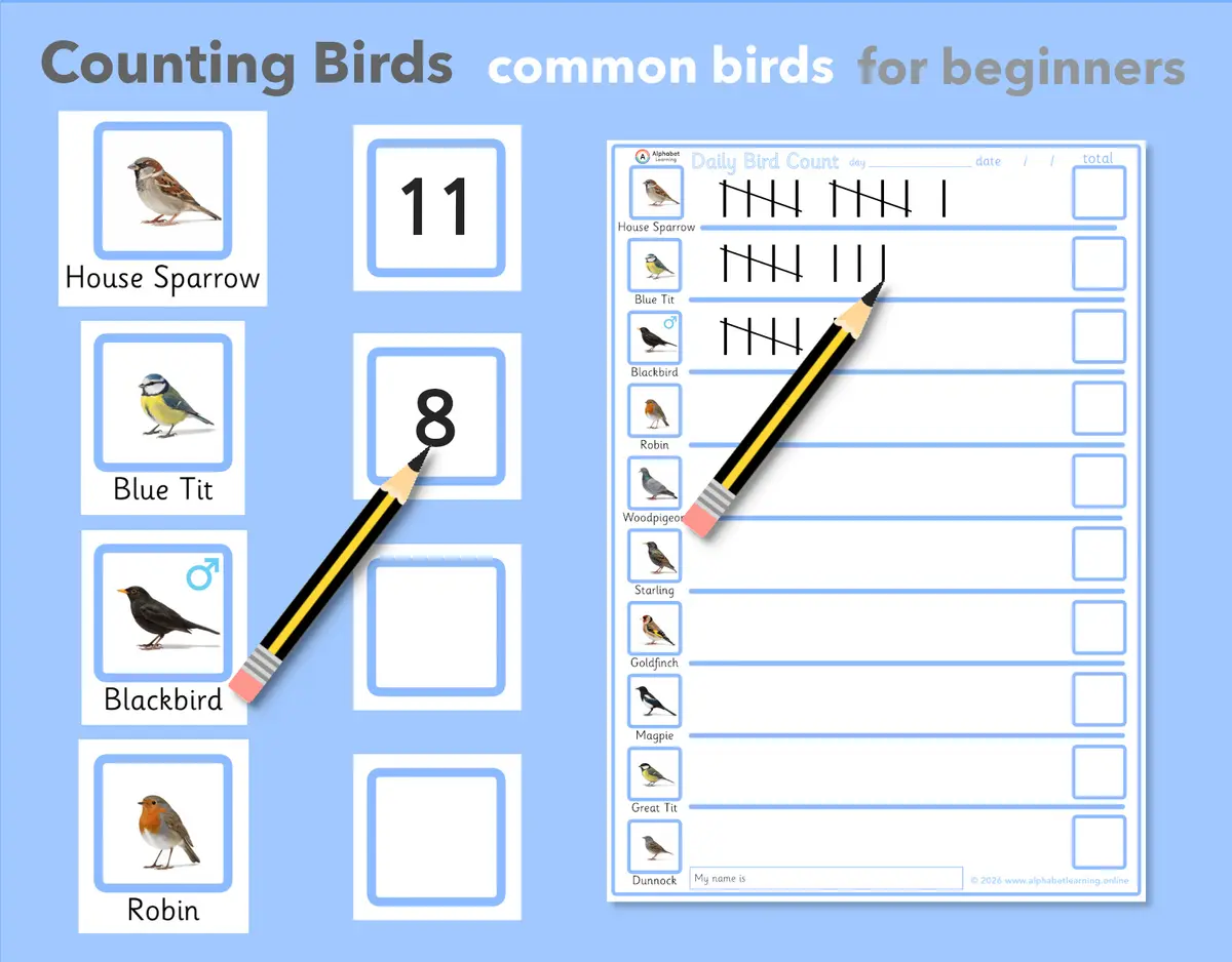 UK Ten Most Common Garden Bird Tally Sheet / Daily Bird Count Activity main preview