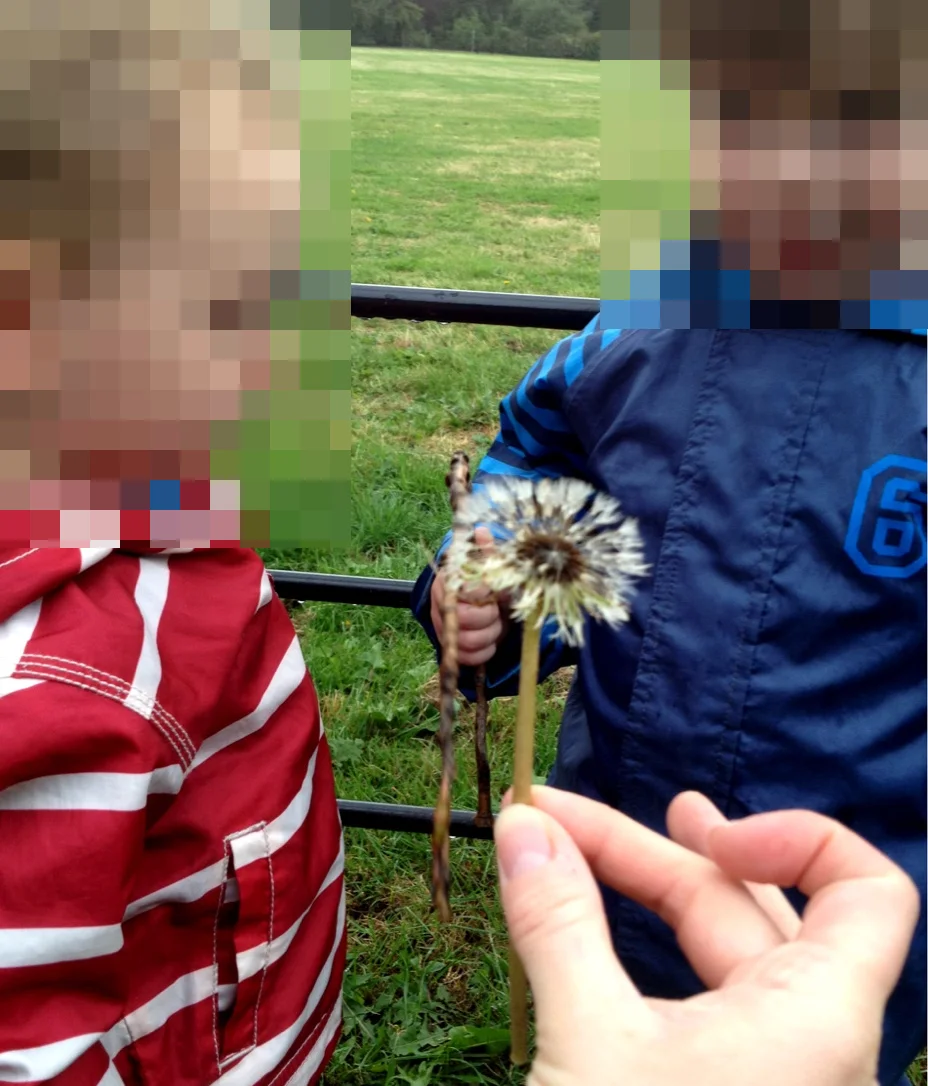 An adult hand holding a dandelion seed head up for two young children in striped jackets outdoors near a grassy field.
