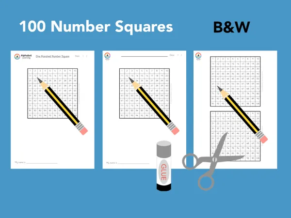 Number Squares (to 100) Black/white