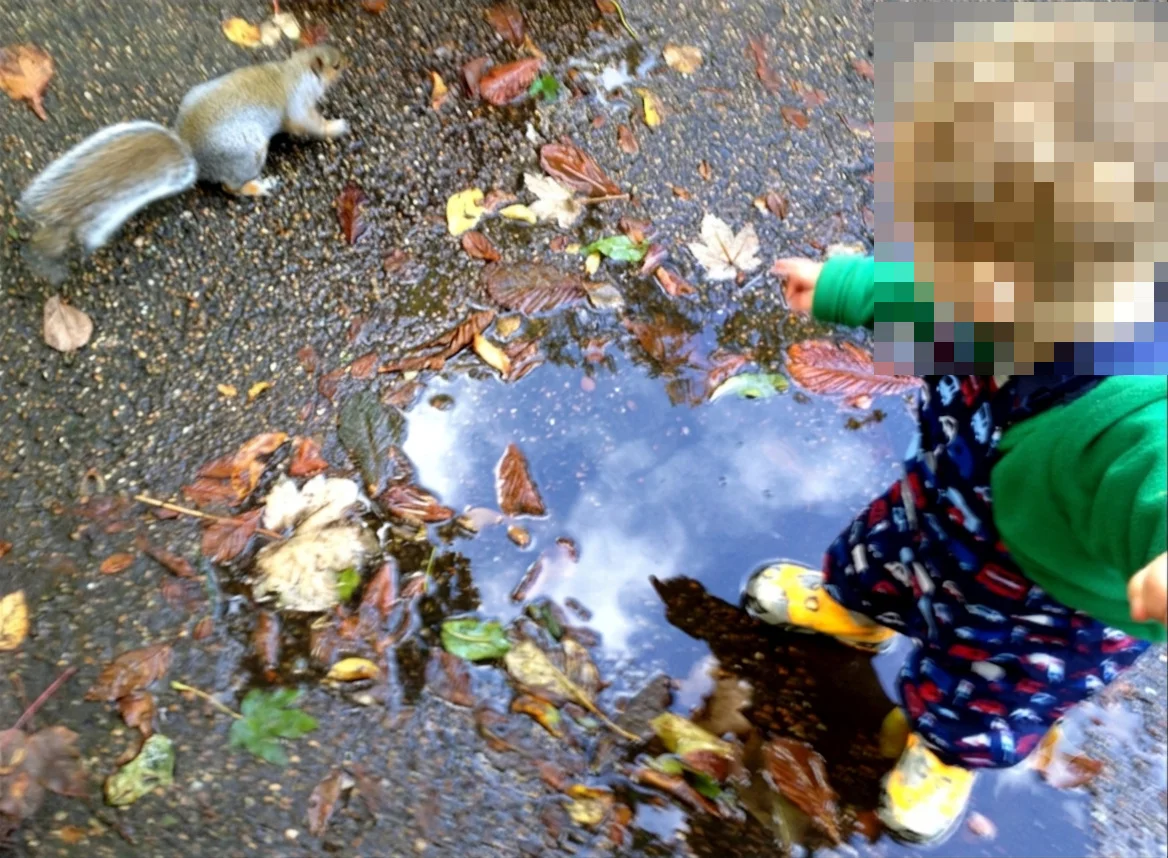 A young toddler stepping into a puddle filled with autumn leaves while pointing toward a grey squirrel nearby.