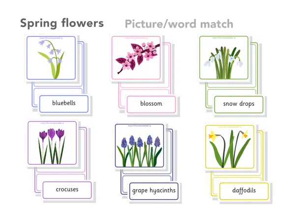 Spring flowers Word picture word match