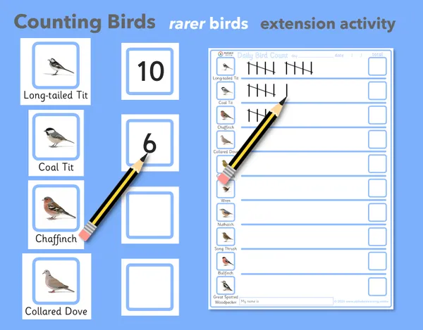 UK Rarer Garden Bird Tally Sheet / Daily Bird Count Activity