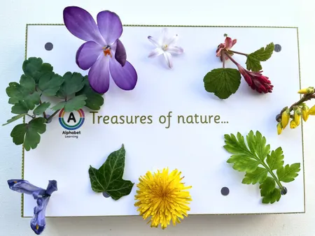 Nature Activity - collect natural treasures additional preview 4