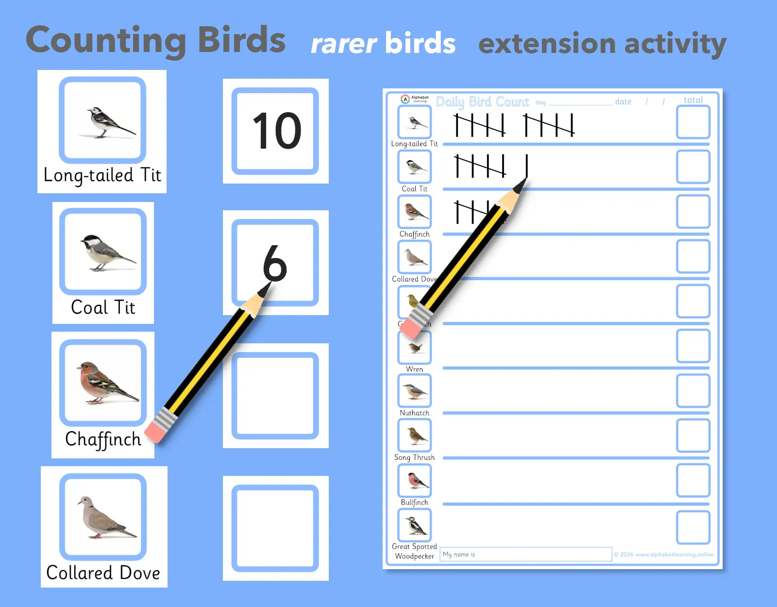 UK Rarer Garden Bird Tally Sheet / Daily Bird Count Activity main preview