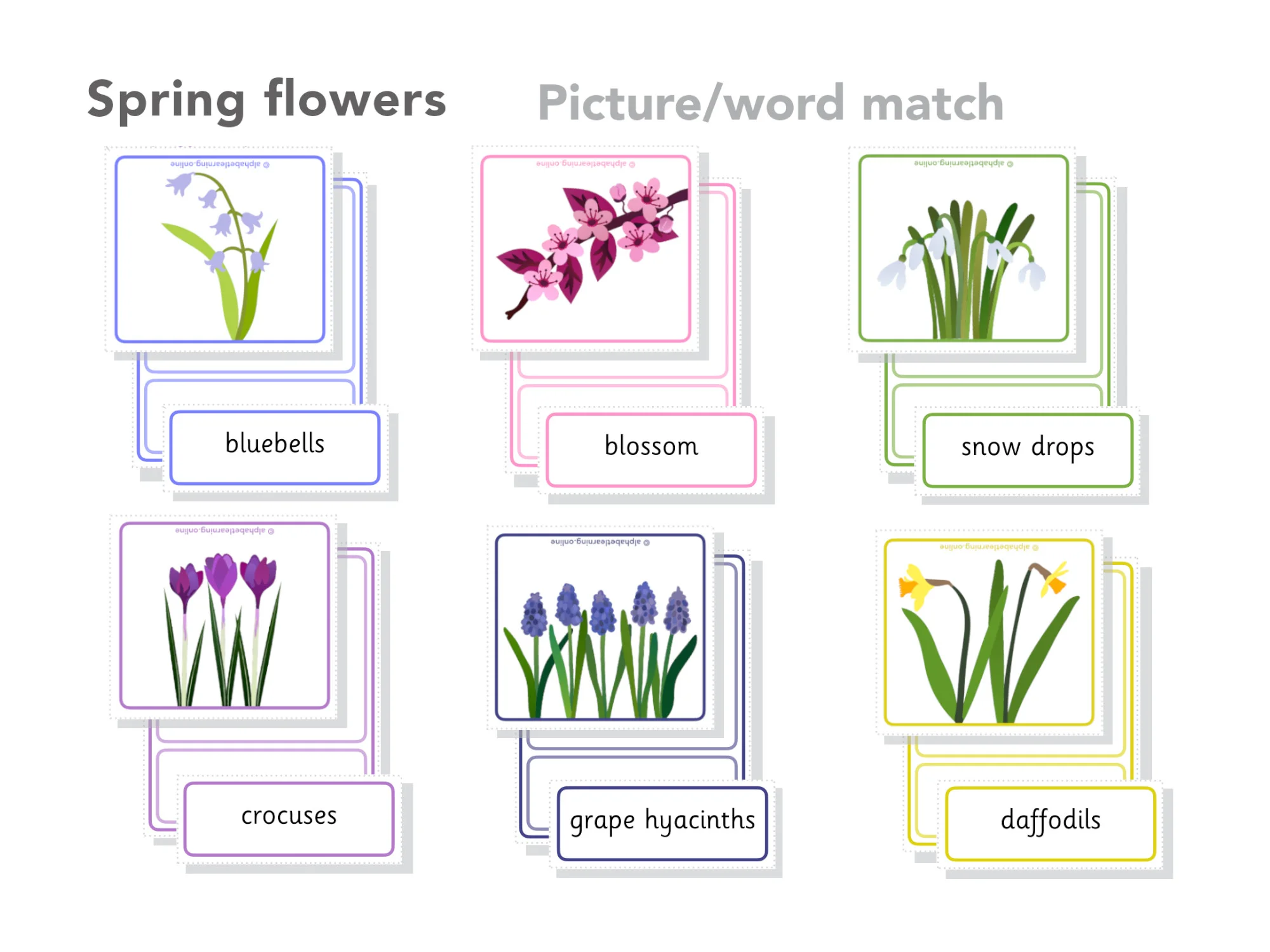 Spring flowers Word picture word match