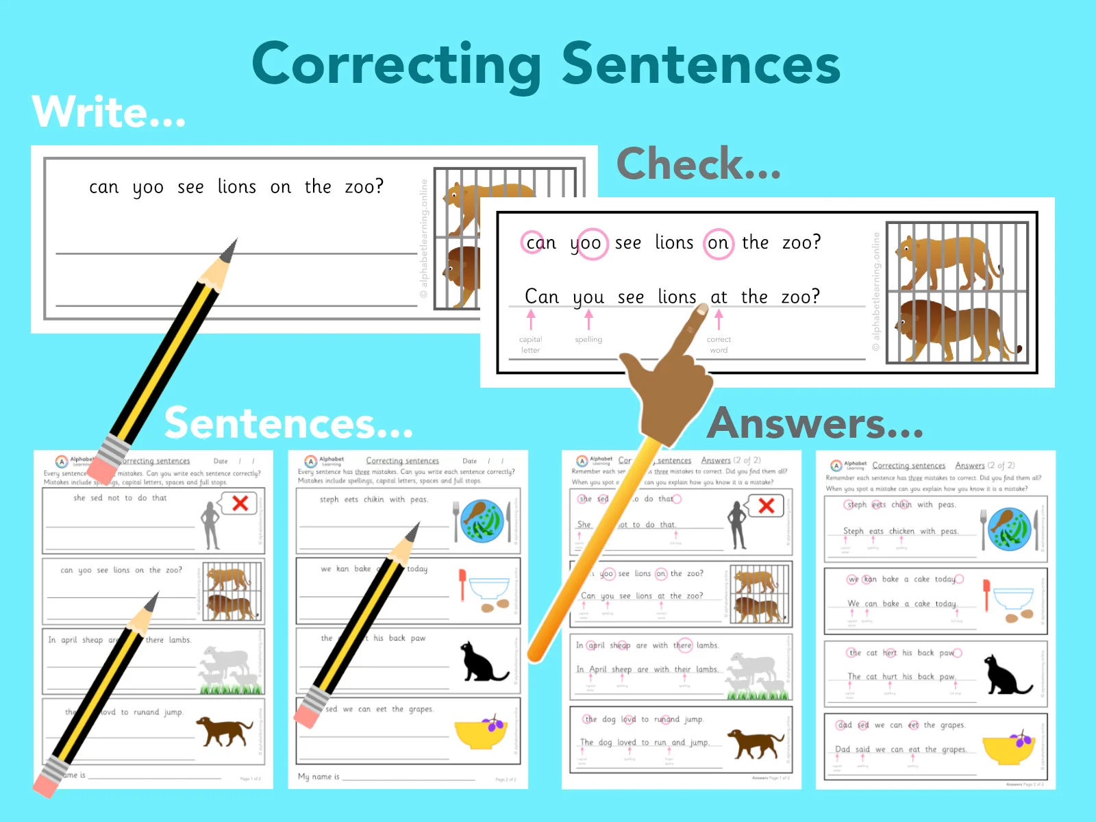 Correcting Sentences, reading and writing