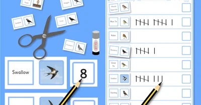 Bird spotting observe record and count customisable tally sheet worksheet (ages 3-7)