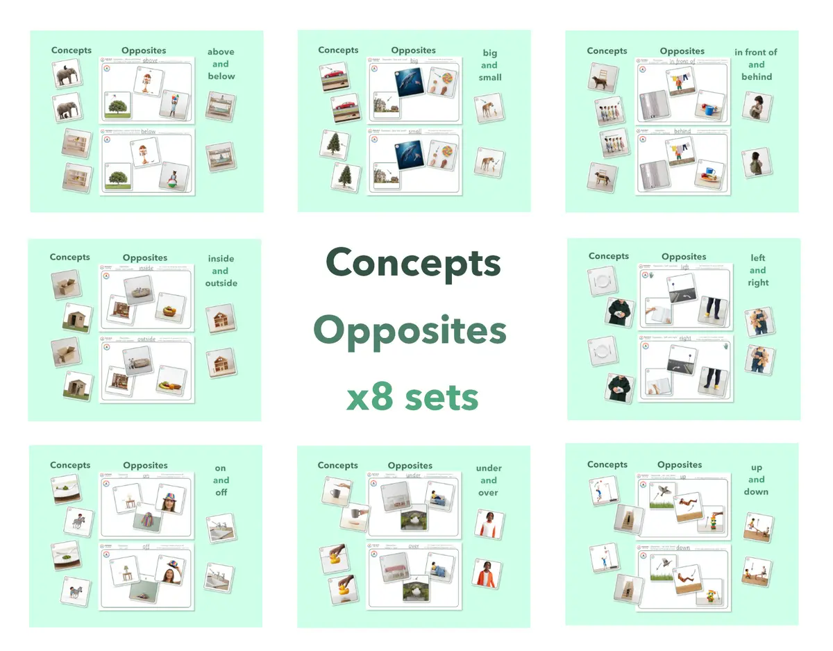 Exploring concepts Opposites (x8 Sets) main preview