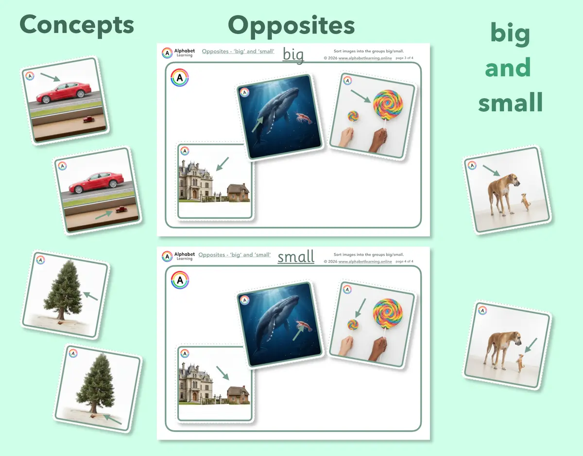 Exploring concepts Opposites Big and small main preview