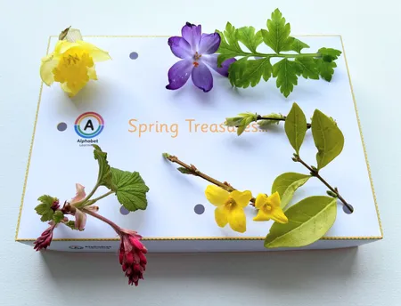 Spring Activity - collect natural treasures (in Spring) additional preview 3
