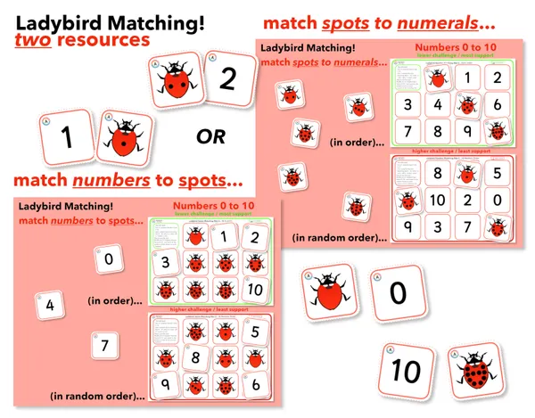 Ladybirds - Matching 0 to 10! Counting Spots Matching Numerals