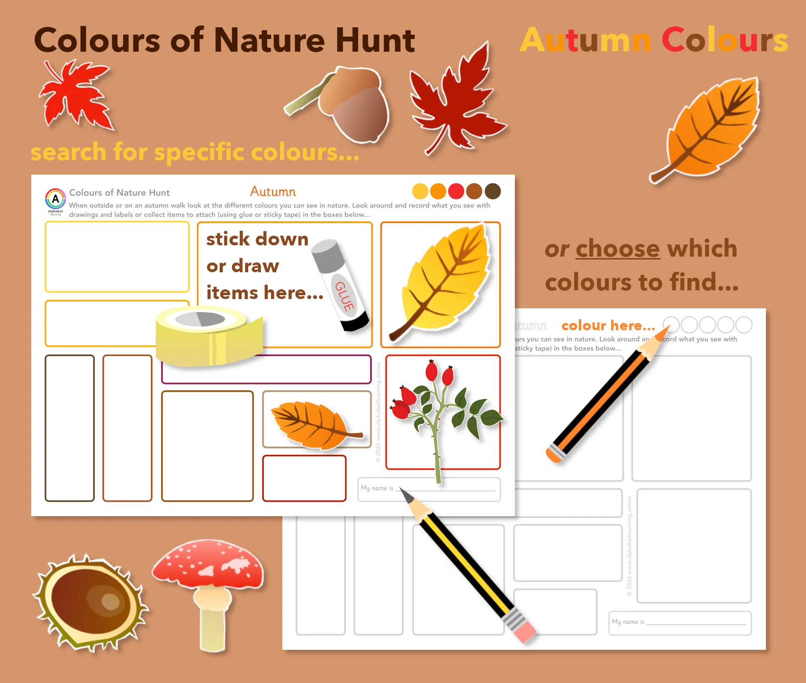 Nature Hunt Autumn Walk Collecting Colours Scavenger Hunt | EYFS & KS1 Activity
