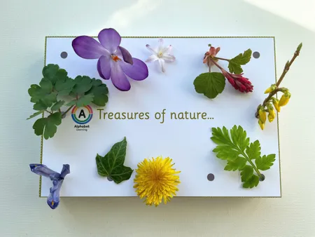 Nature Activity - collect natural treasures additional preview 1