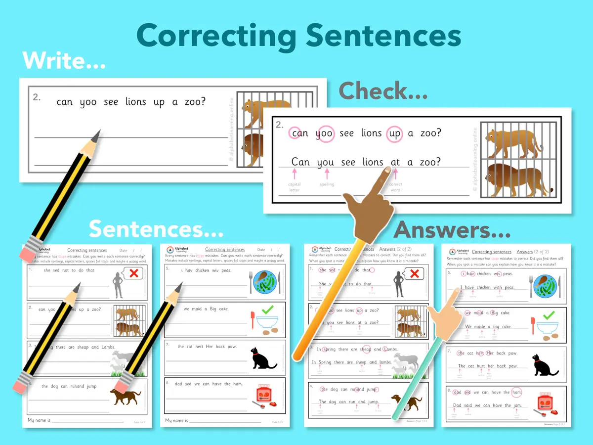 Correcting Sentences, reading and writing main preview