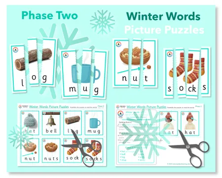 Winter Words Picture Puzzles (Phonics Phases 2 to 5) additional preview 1