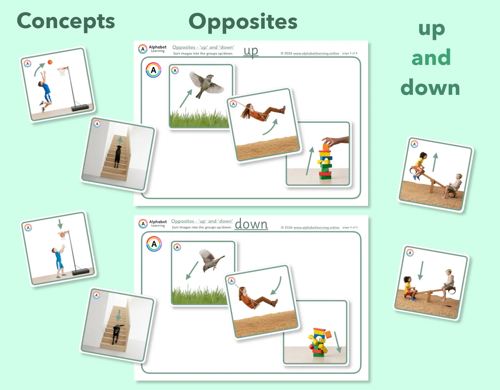 Exploring concepts Opposites Up and Down main preview