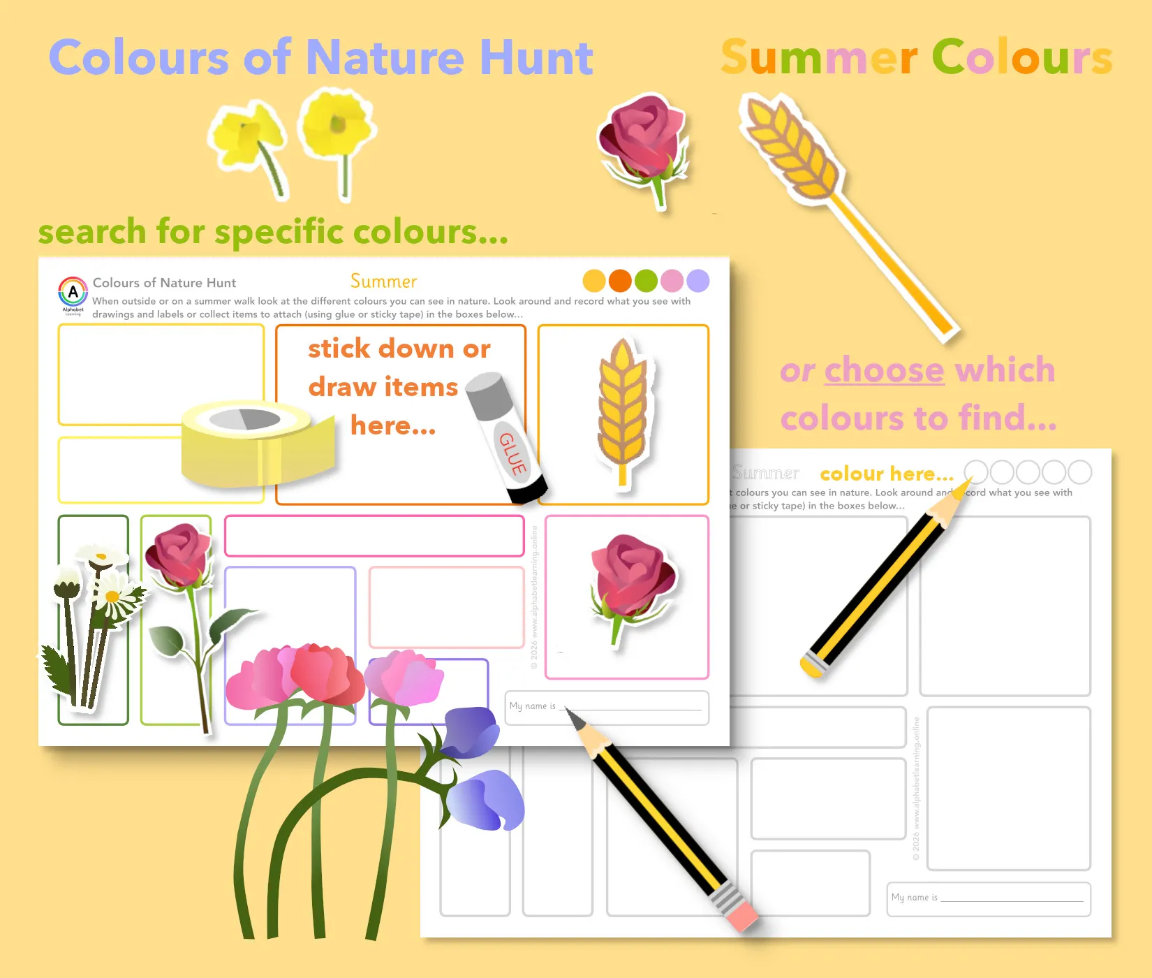 Nature Hunt Summer Walk Collecting Colours Scavenger Hunt | EYFS & KS1 Activity main preview