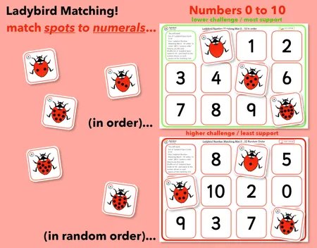 Ladybirds - Matching 0 to 10! Counting Spots Matching Numerals additional preview 1