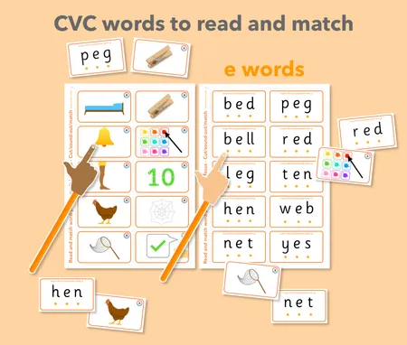 CVC Read and Match Cards: Short a/e/i/o/u sounds x5 sets additional preview 2
