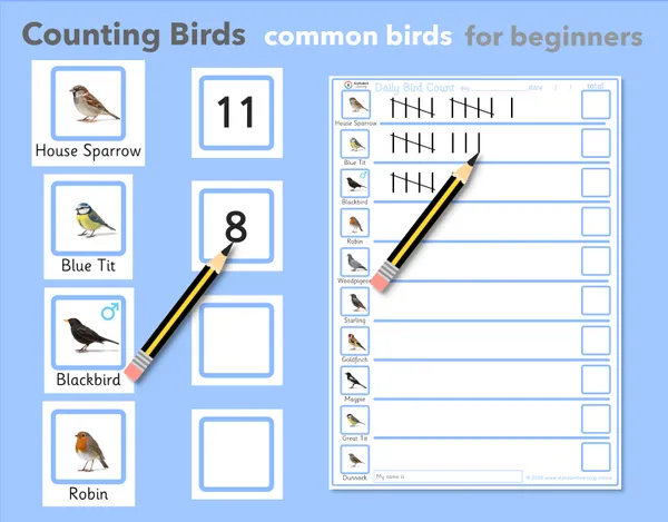 UK Ten Most Common Garden Bird Tally Sheet / Daily Bird Count Activity