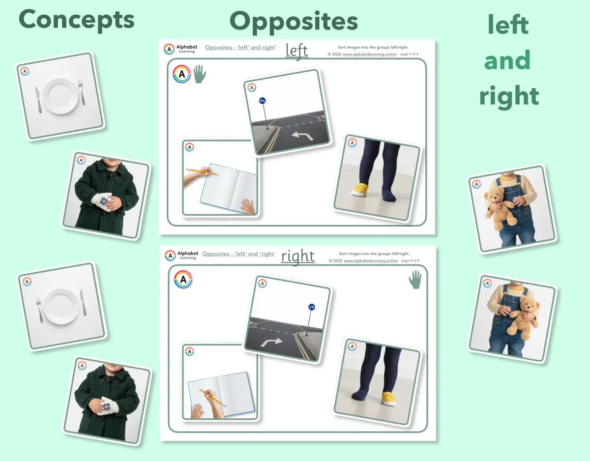 Exploring concepts Opposites Left and Right main preview
