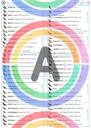 PDF Snapshot 11