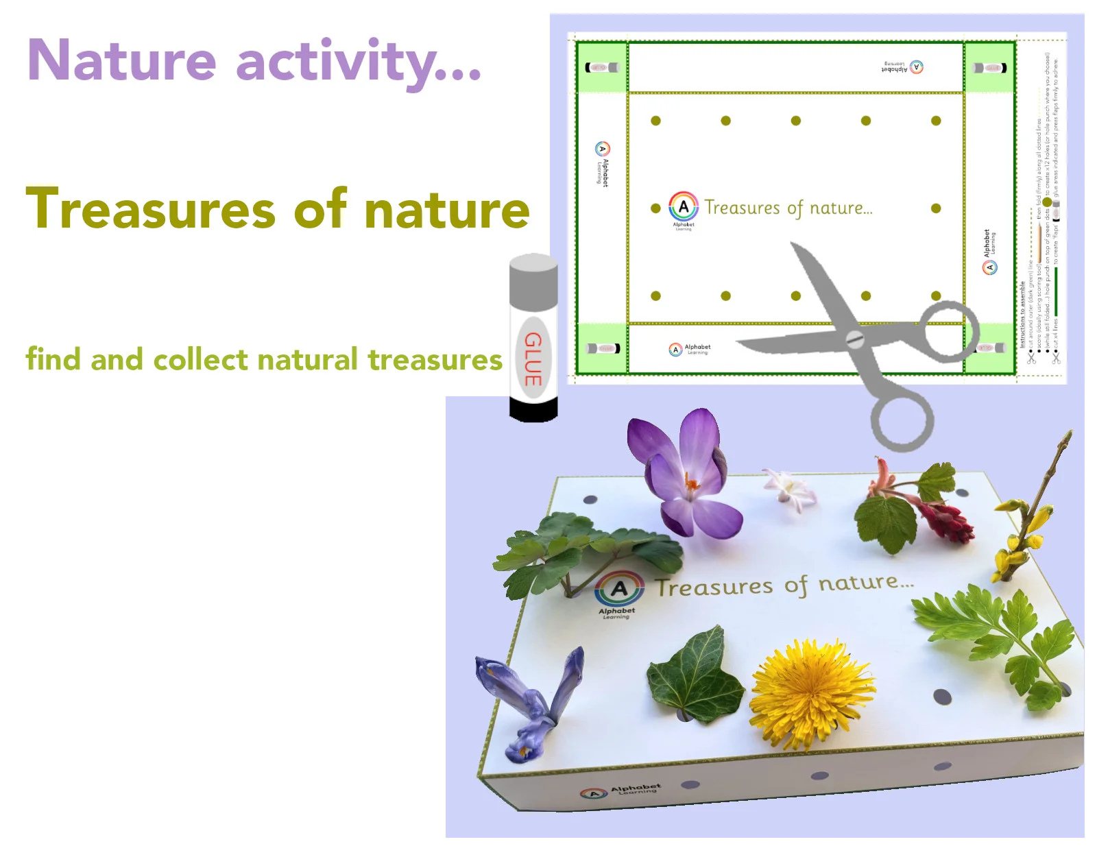 Nature Activity - collect natural treasures