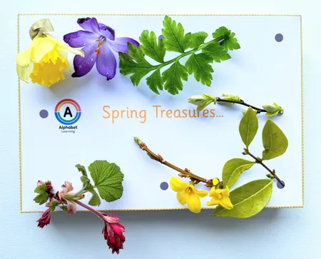Spring Activity - collect natural treasures (in Spring) additional preview 4