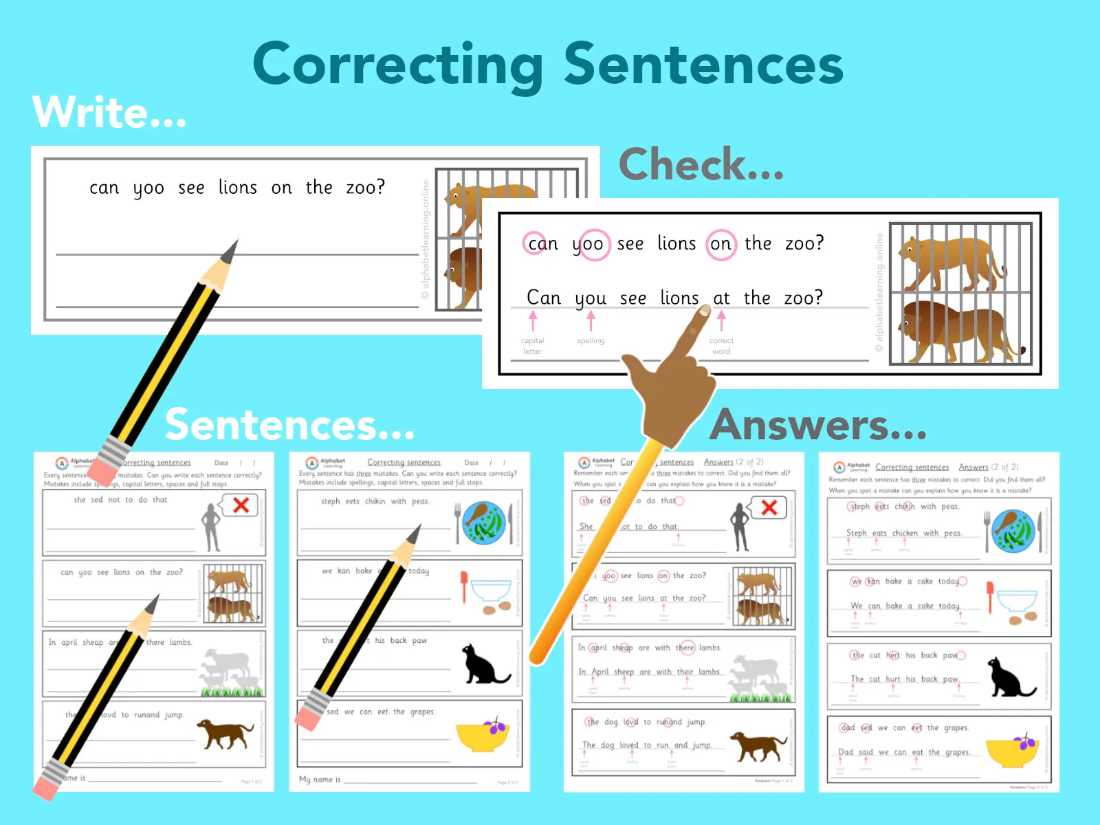 Correcting Sentences, reading and writing main preview