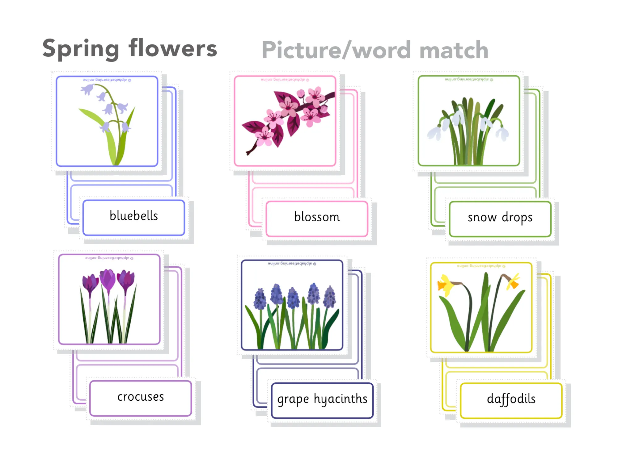Spring flowers Word picture word match main preview
