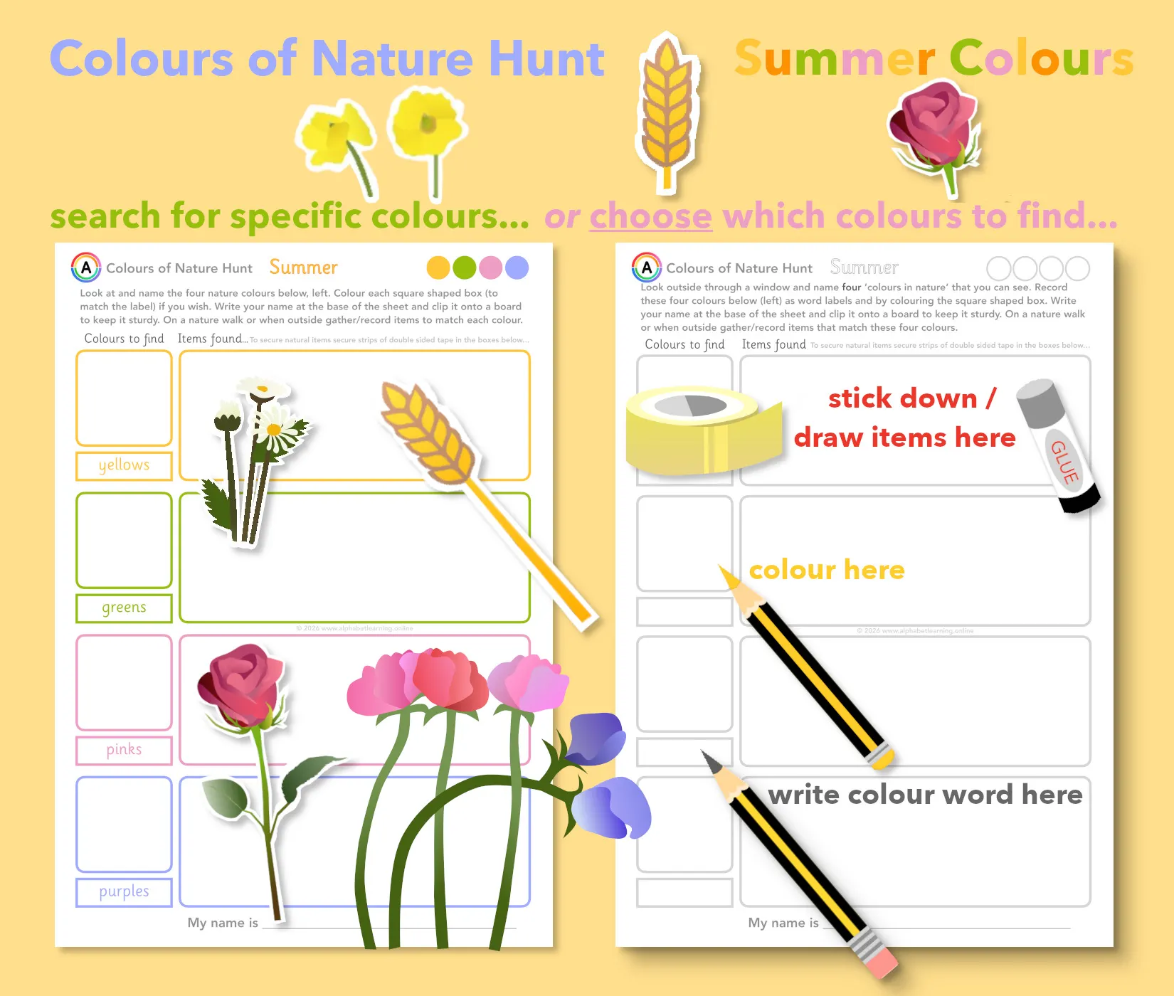 Nature Walk in Summer Colour Scavenger Hunt | EYFS & KS1 Activity main preview